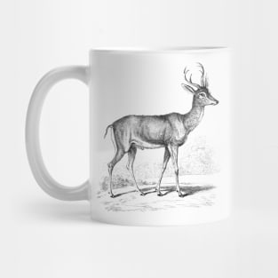 Fawn Deer Black White Vintage Animal Illustration Mug